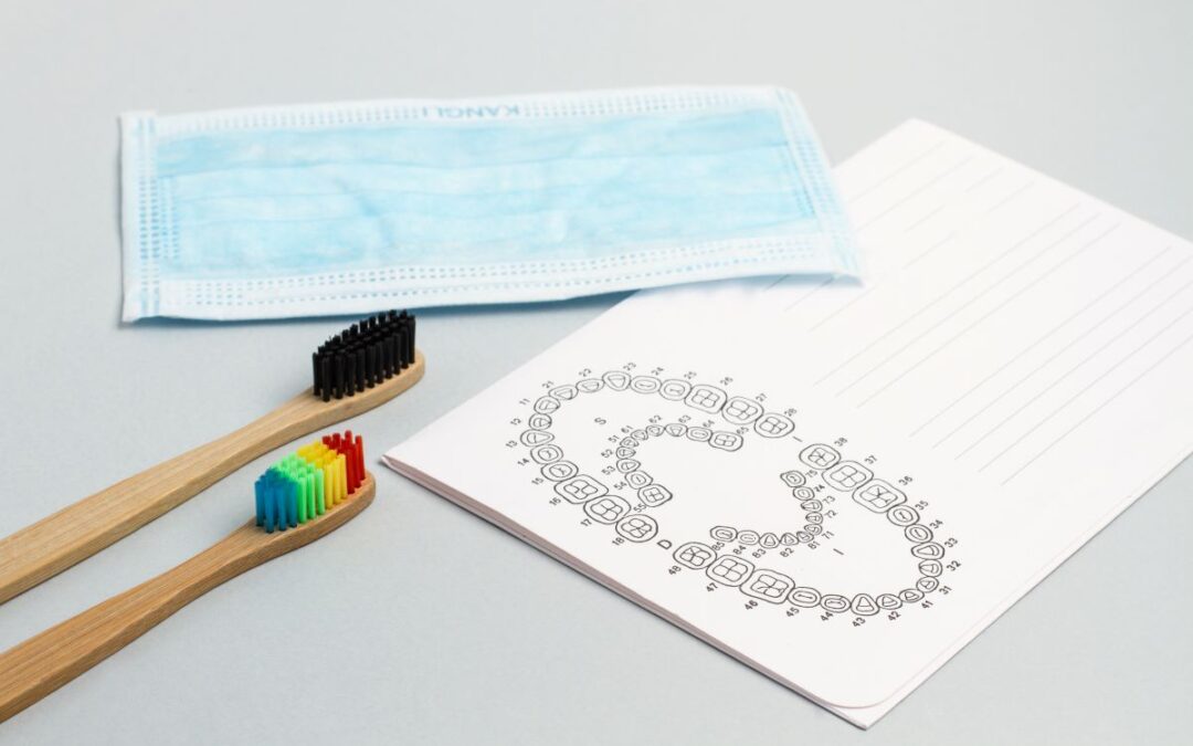 A fogak számozása és a fog szerkezete